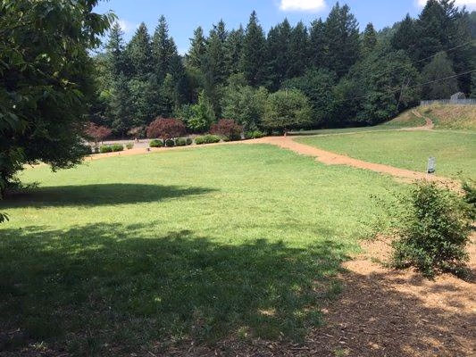 Hillsdale Park photo 1